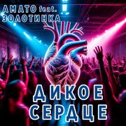 АМАТО, Золотинка - Дикое сердце