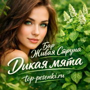 Бар Живая Струна - Дикая мята