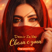 Damir Za Vas - Свела с ума