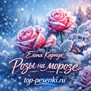 Елена Карпук - Розы на морозе