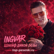 Ingvar- Шлейф дикой розы