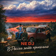NE DJ - В России жить пиздато