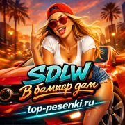 SDLW - В ж*пу дам