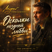 Андрей Голос Шансона - Осколки поздней любви