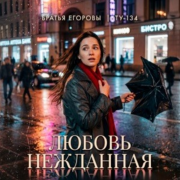Братья Егоровы, ТУ-134 - Любовь нежданная