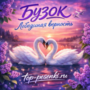 BUZOK - Лебединая верность или Эхо любви