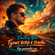 Dmitriy Niki - Гуляет ветер в голове