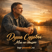 Душа Судьбы - Мне не стыдно