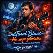 naTural Blues - Не ходи убивать (Владимир Высоцкий Blues Rock)
