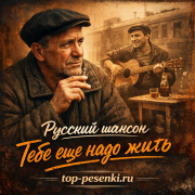 Русский шансон - Тебе еще надо жить