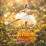 SveLMusiC - Ты приди в мои сны