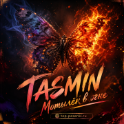 TASMIN - Мотылёк в огне