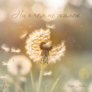 Вера__Ника - Ни о чем не жалею