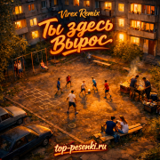 Virex Remix - Ты здесь вырос