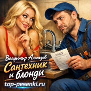 Владимир Алмазов - Сантехник и блонди