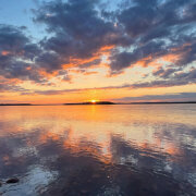 wavdealer - Под небом