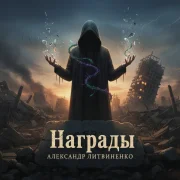 Александр Литвиненко - Награды