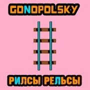Gonopolsky - Рилсы рельсы