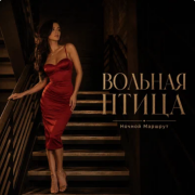 Ночной Маршрут - ВОЛЬНАЯ ПТИЦА