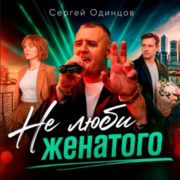 Сергей Одинцов - Не люби женатого